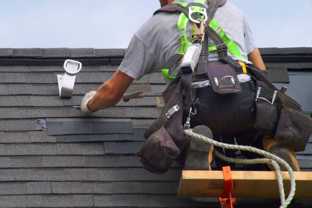 Best Roof Insulation Installation  in Wamac, IL